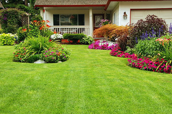 Manicured Yard A finely manicured yard shows its summer colours.