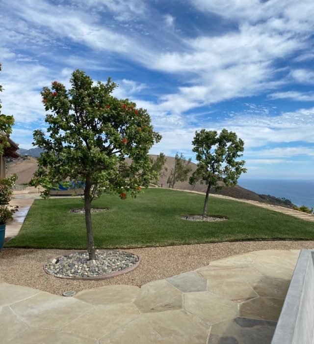 e54eb319-fd30-484a-94dc-09832527a636